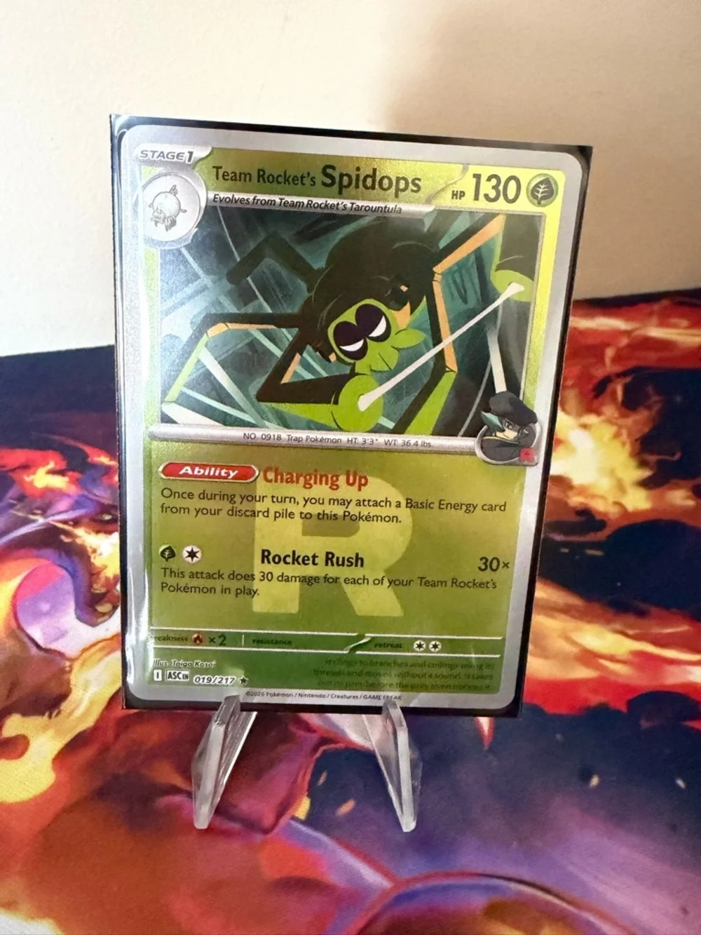 Pokémon Ascended Heroes Card Lot